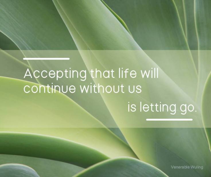 13062087_10154051434540856_8317850608512716204_n